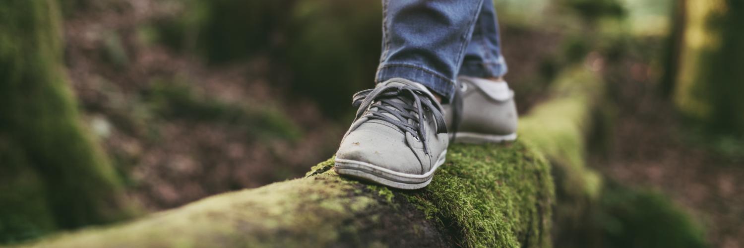 A child's feet walking along a mossy log in a forest A child's feet walking along a mossy log in a forest
