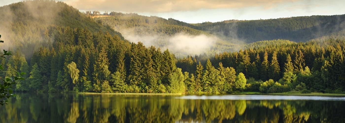 Vakantiehuizen en appartementen in Harz - Wimdu