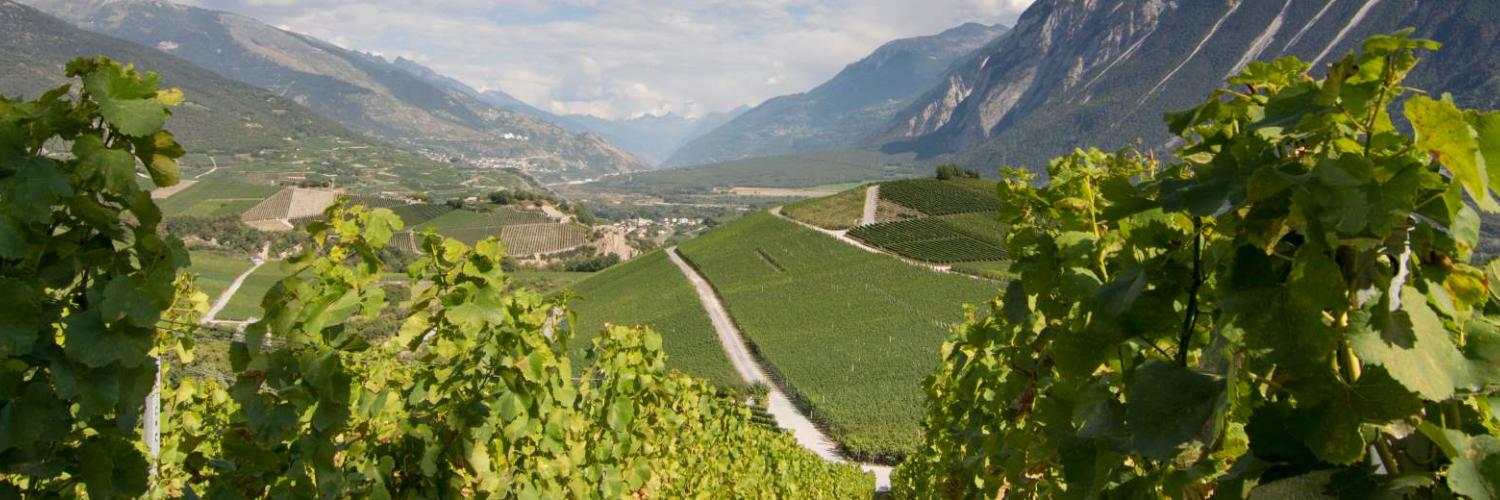 Genieten van het Franse leven in uw vakantiehuis in de Rhône - CASAMUNDO