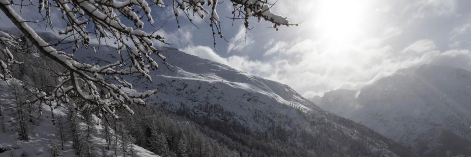 Italiaans genieten met een vakantie in Friuli-Venezia Giulia - CASAMUNDO