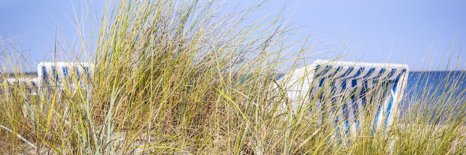 Aluguel de temporada, chalés e pousadas em Zingst - LarDeFérias