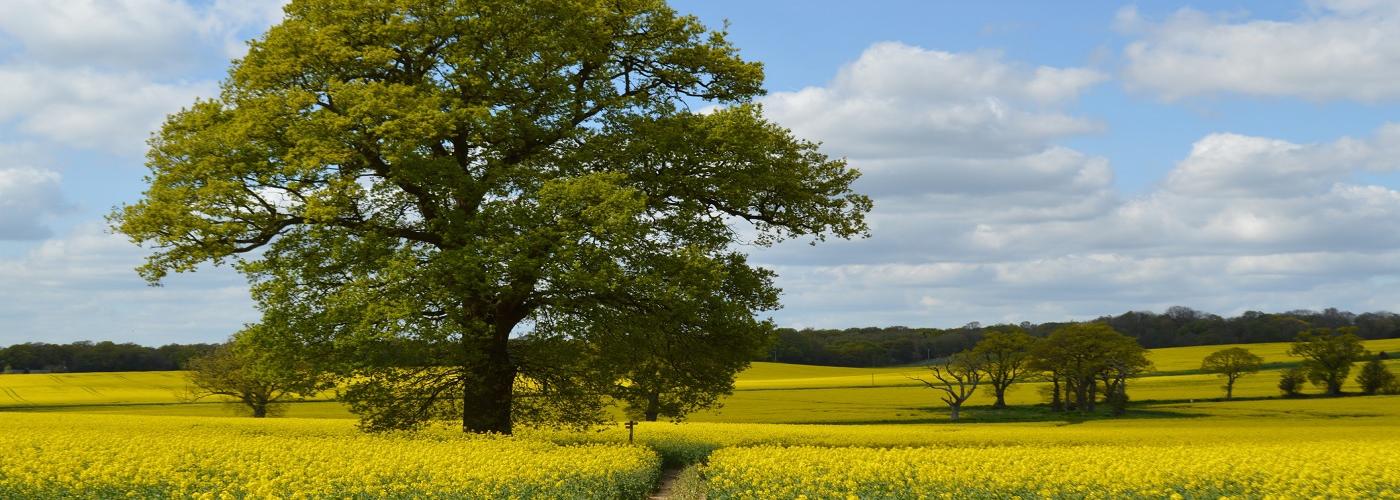 Sussex - Apartamenty i domy wakacyjne - Wimdu