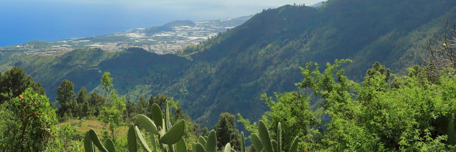 Vakantiehuizen en appartementen in Los Cristianos - EuroRelais