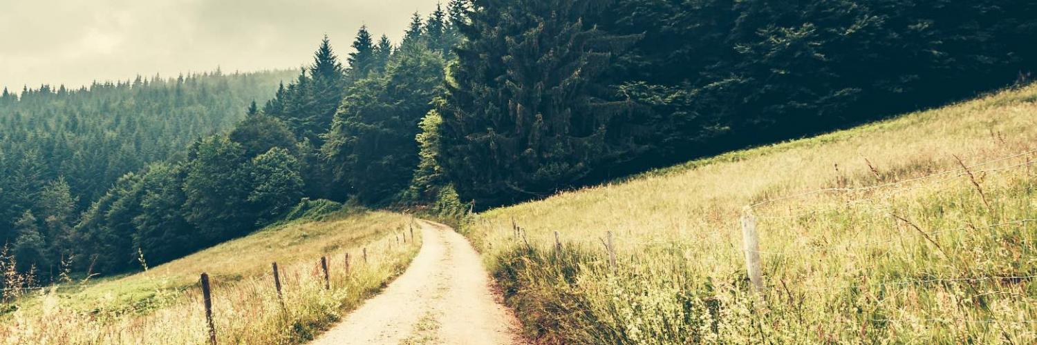 Case vacanza in Sassonia – Vacanze in Germania tra natura e cultura - CASAMUNDO