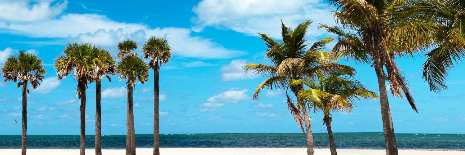 New Port Richey Vacation Rentals - HomeToGo