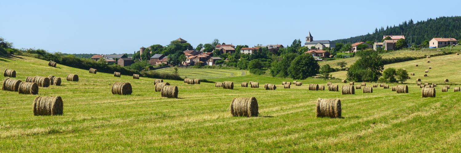 Locations de vacances et chambres d'hôtes à Laguiole - HomeToGo