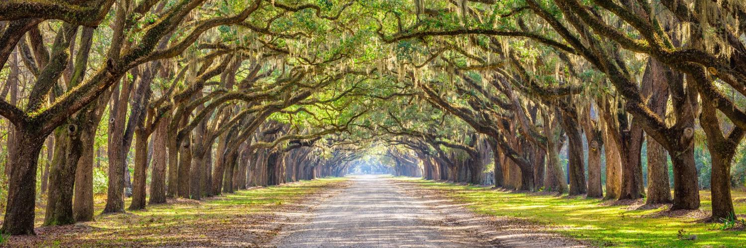Thomasville Vacation Rentals - HomeToGo