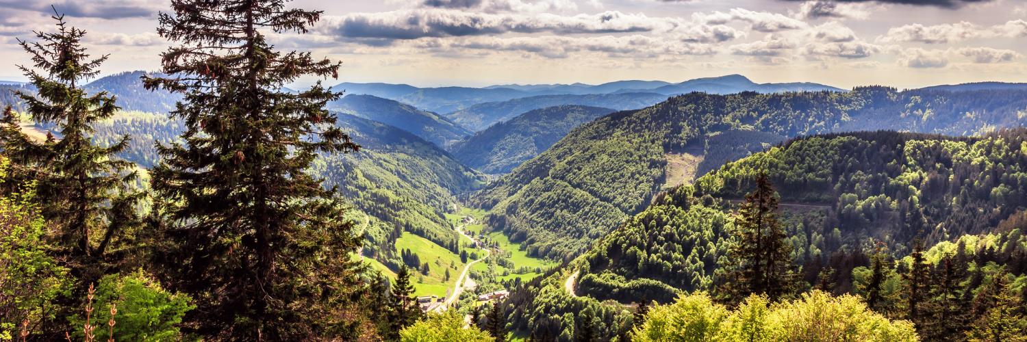 Ferienwohnungen und Ferienhäuser in Lahr - HomeToGo