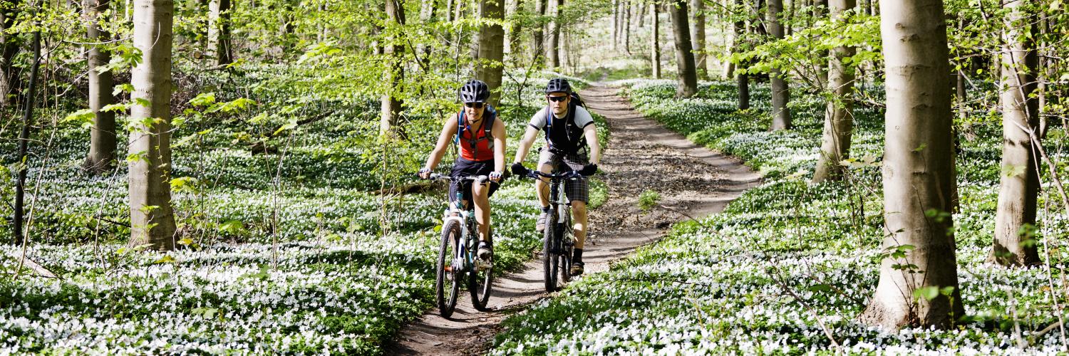 De vijf mooiste bestemmingen voor een natuurhuisje in Duitsland