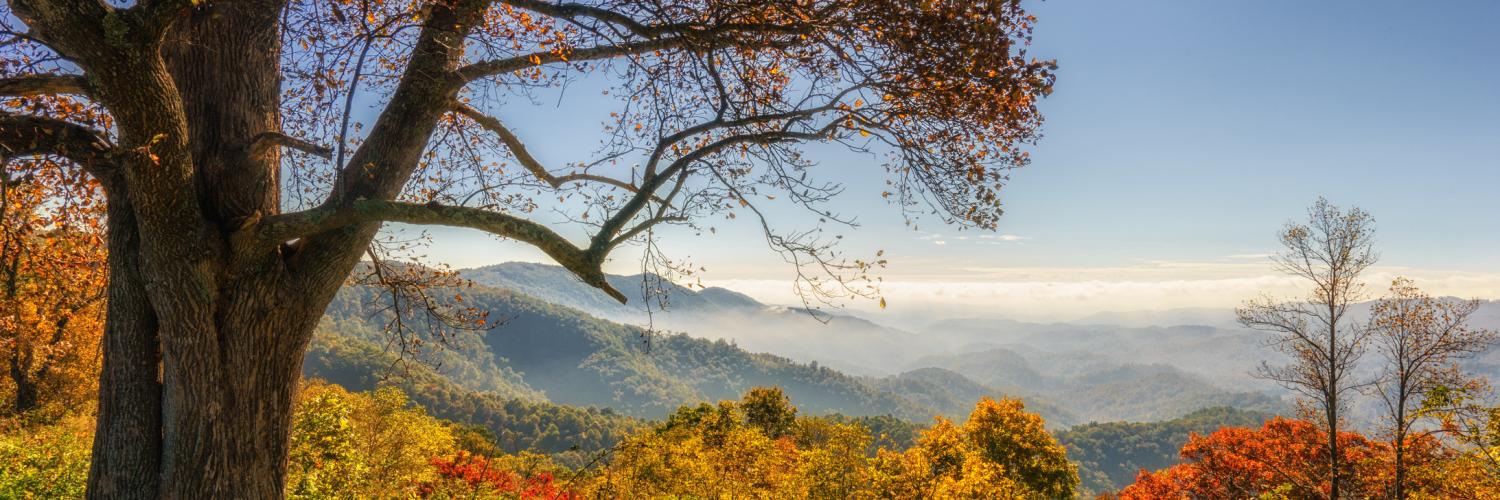 Sylva Vacation Rentals - HomeToGo