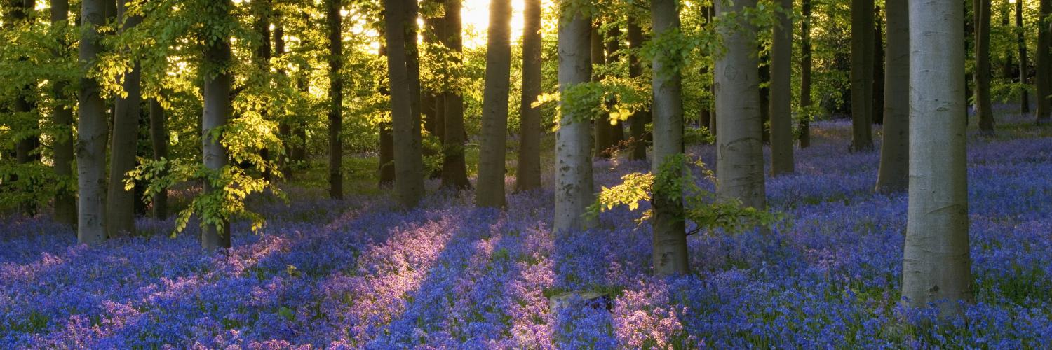 Coton Manor in Northamptonshire, England Coton Manor in Northamptonshire, England