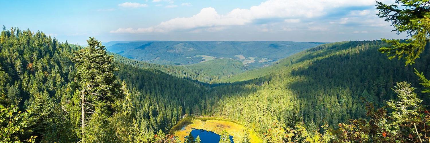 Luxus Ferienhäuser und Ferienwohnungen im Südschwarzwald - BELLEVUE Ferienhaus