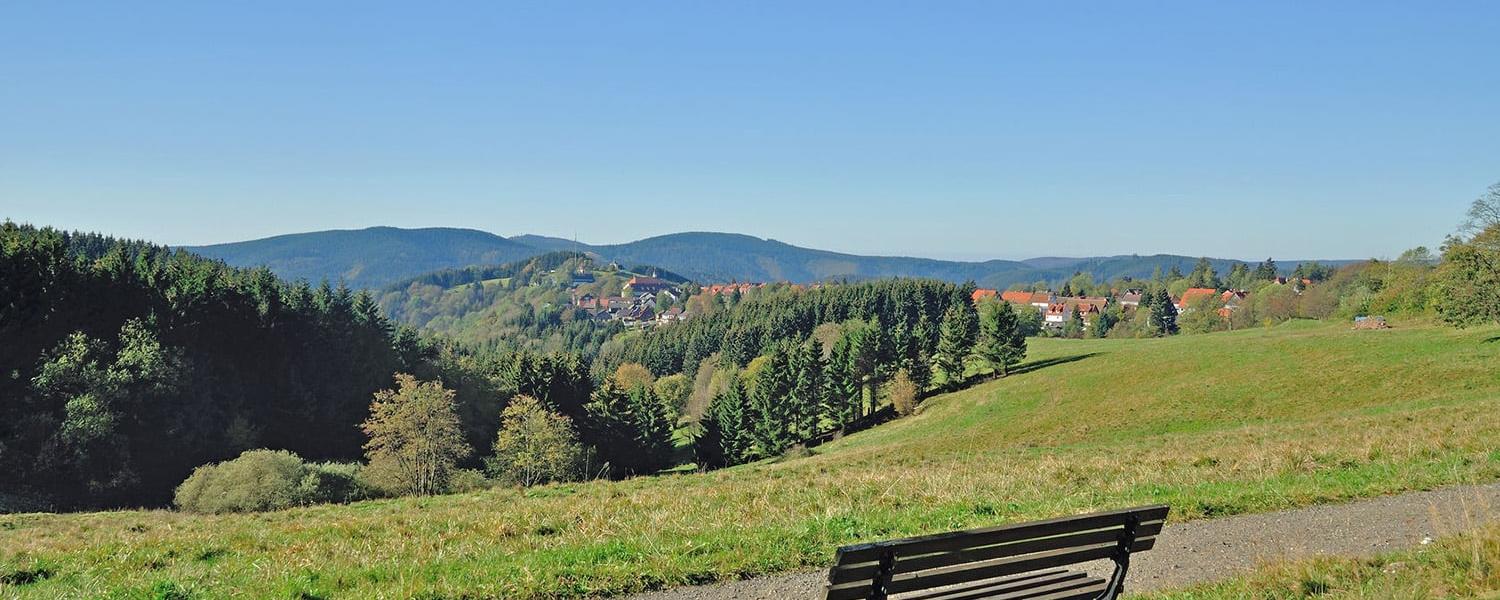 Feriehus & leiligheter Braunlage - HomeToGo