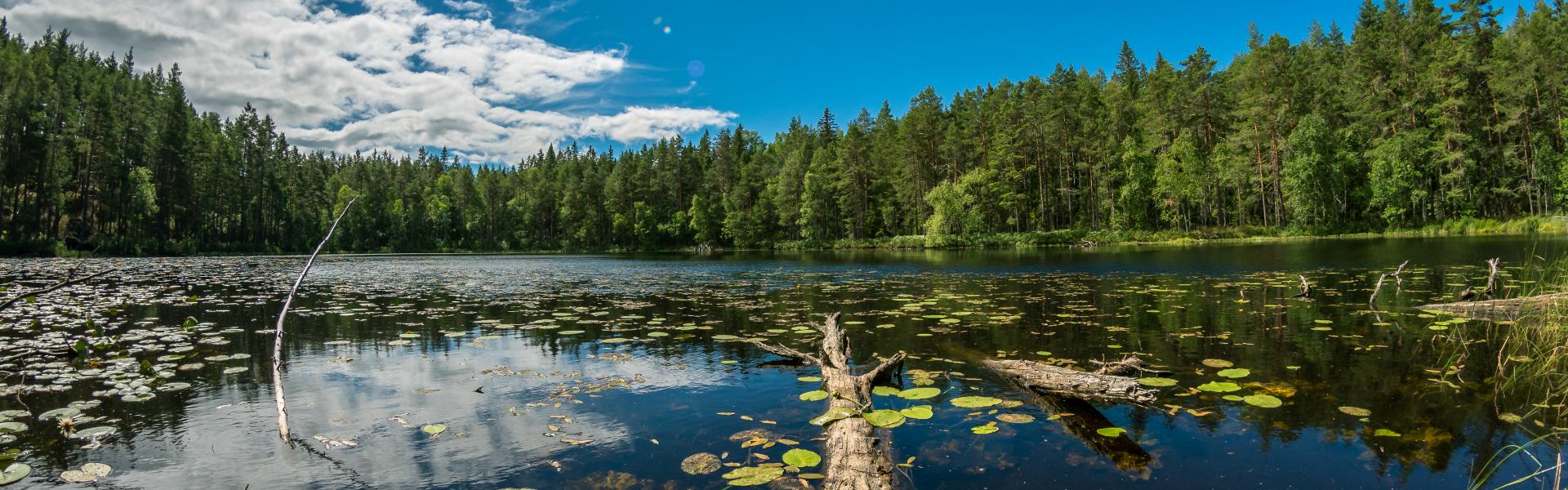Ferienwohnungen und Ferienhäuser in Südschweden - HomeToGo