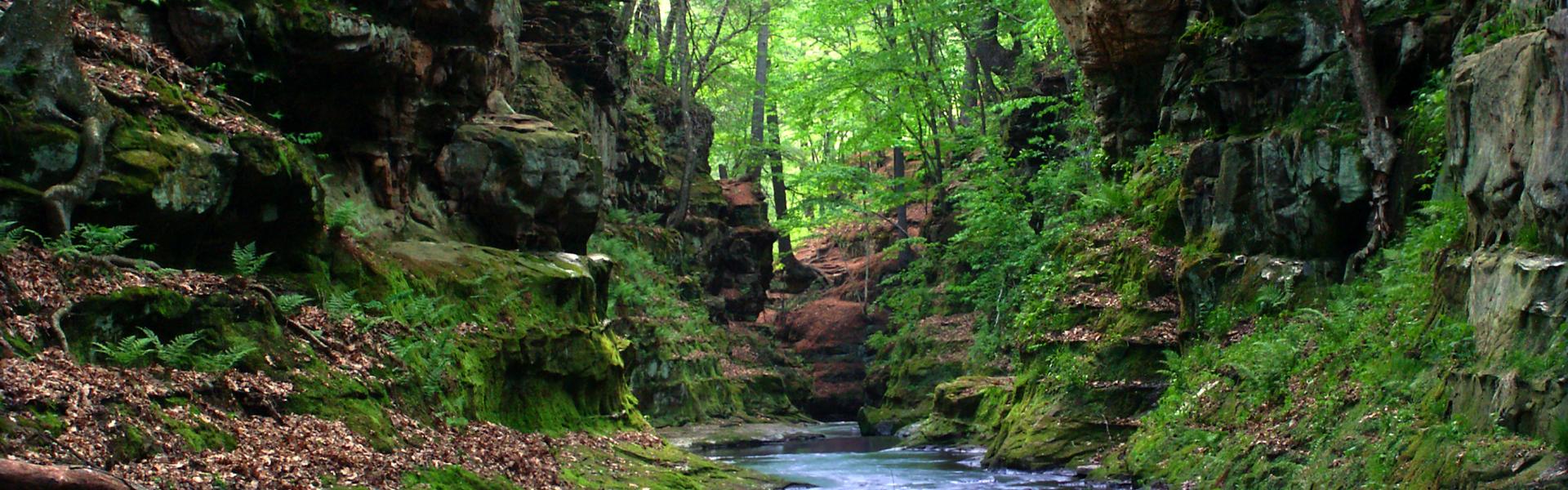 Wisconsin Dells Vacation Rentals - HomeToGo