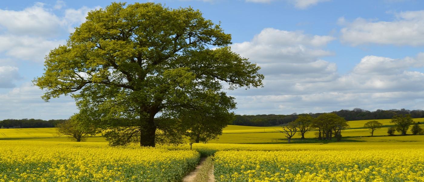 Locations de vacances et appartements à Sussex - Wimdu
