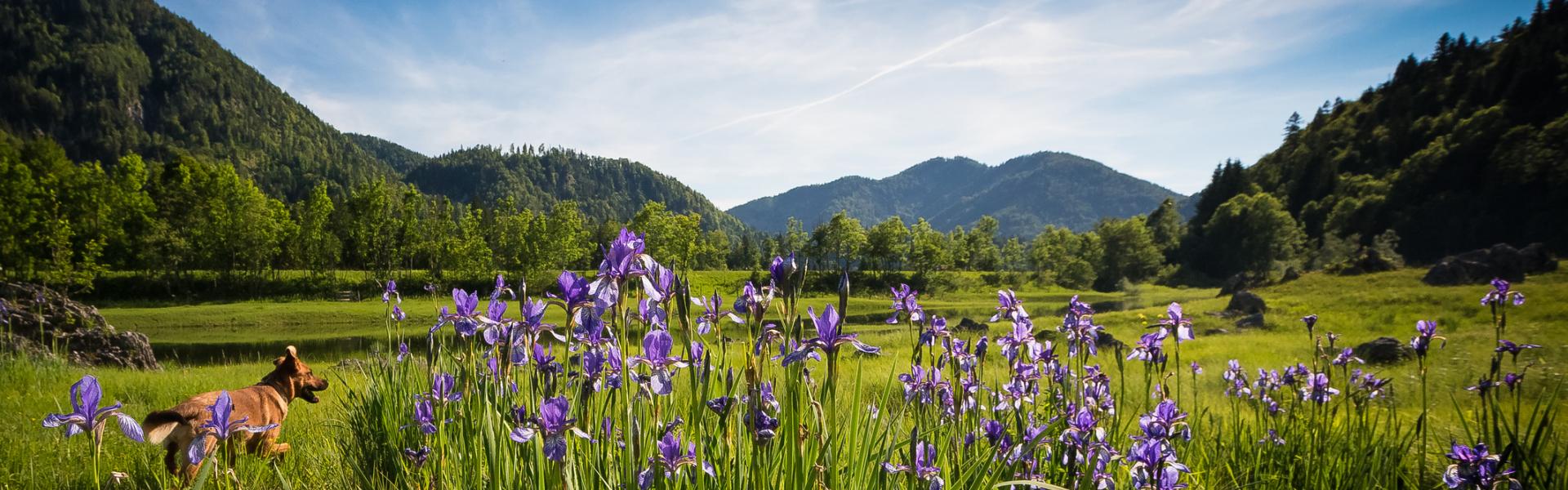 Ferienwohnungen und Ferienhäuser in Ruhpolding - HomeToGo