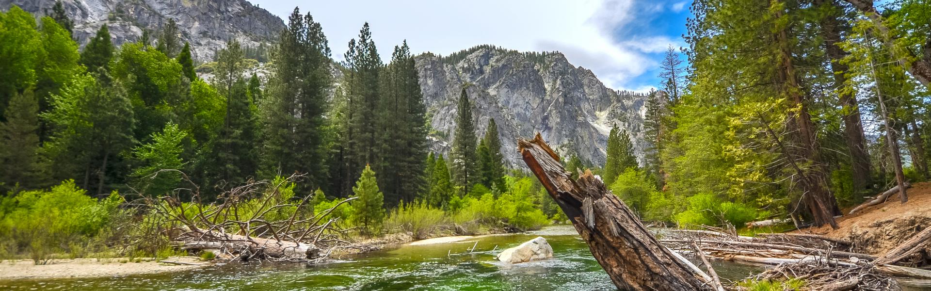Cabins in Sequoia National Park - HomeToGo