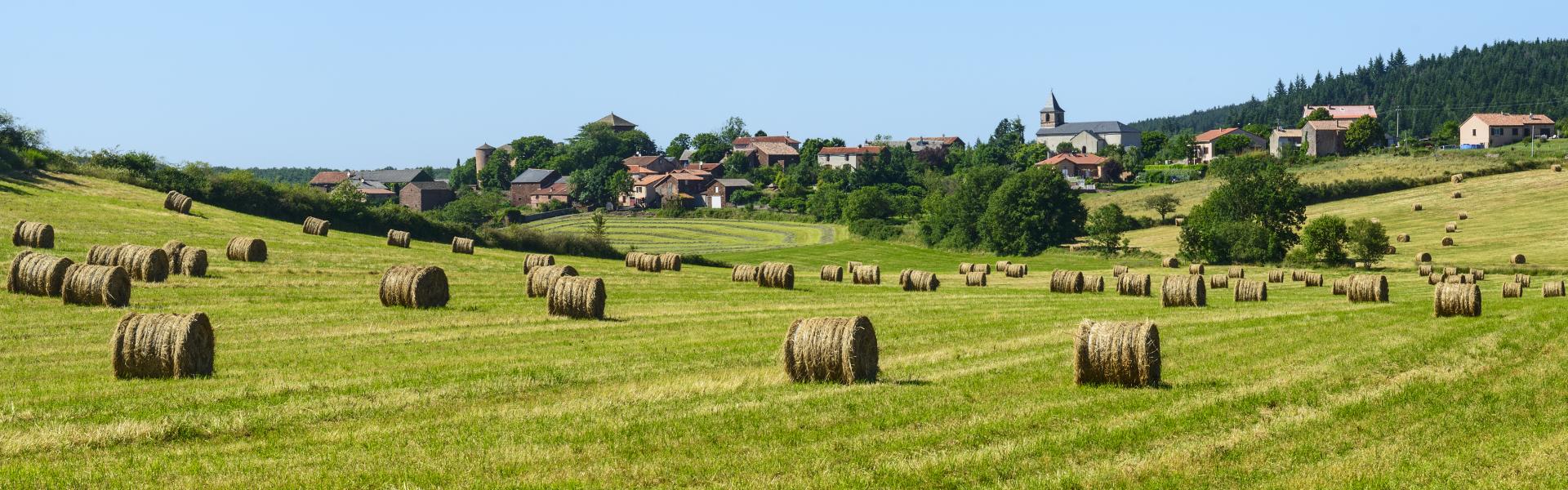 Locations de vacances et chambres d'hôtes à Laguiole - HomeToGo