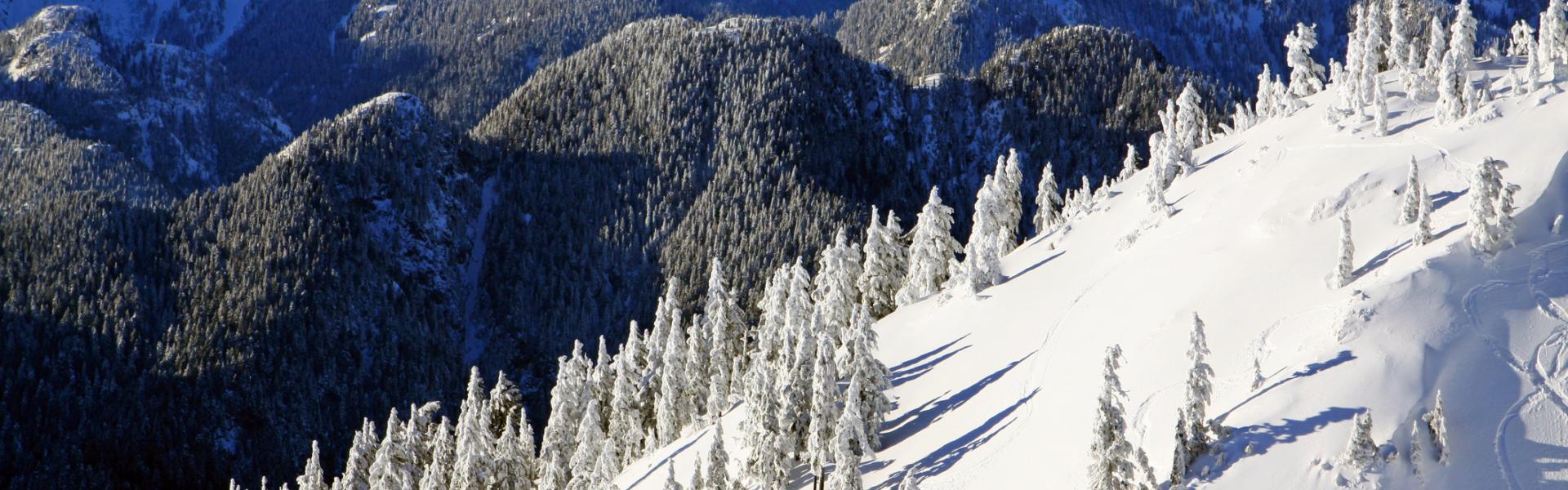 Sun Peaks Vacation Rentals - HomeToGo