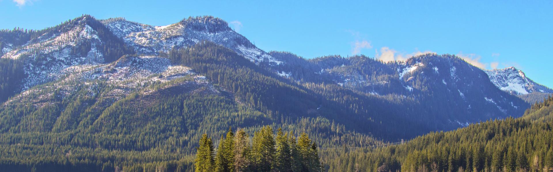 Suncadia Resort Vacation Rentals - HomeToGo