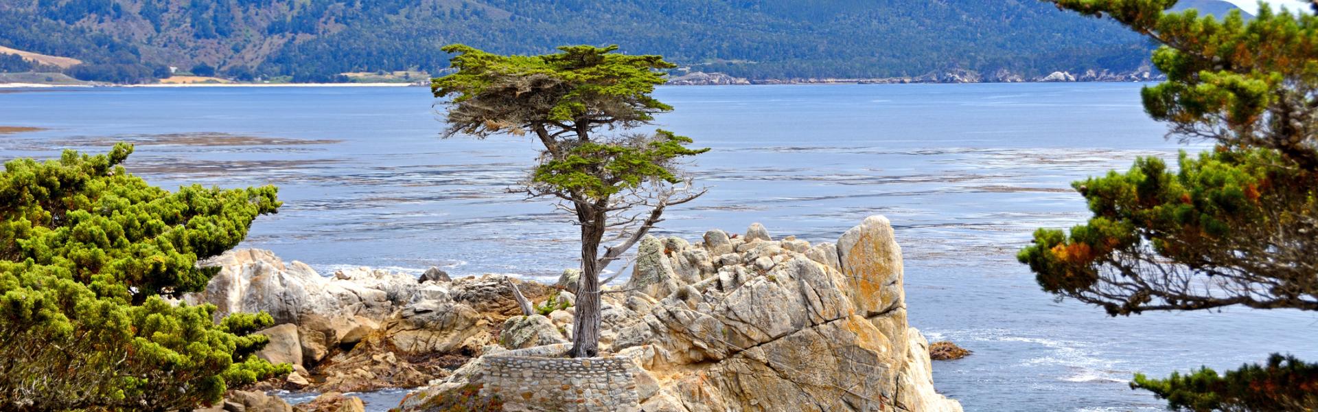 Vacation Rentals in Monterey - HomeToGo