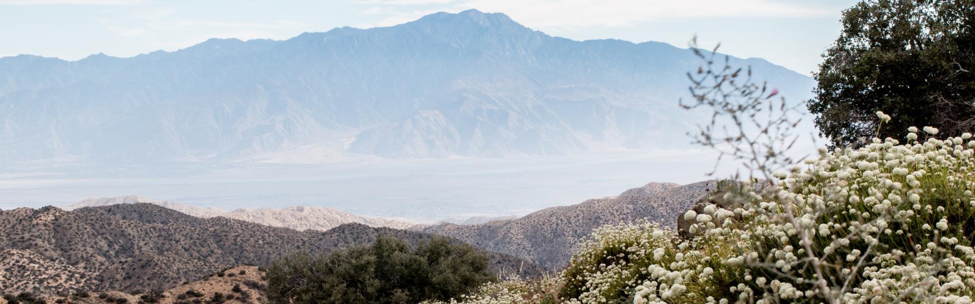House Rentals in Santa Clarita - HomeToGo