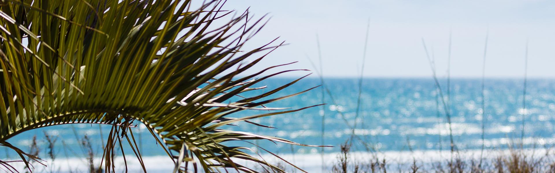 Vacation Rentals in Emerald Isle - HomeToGo