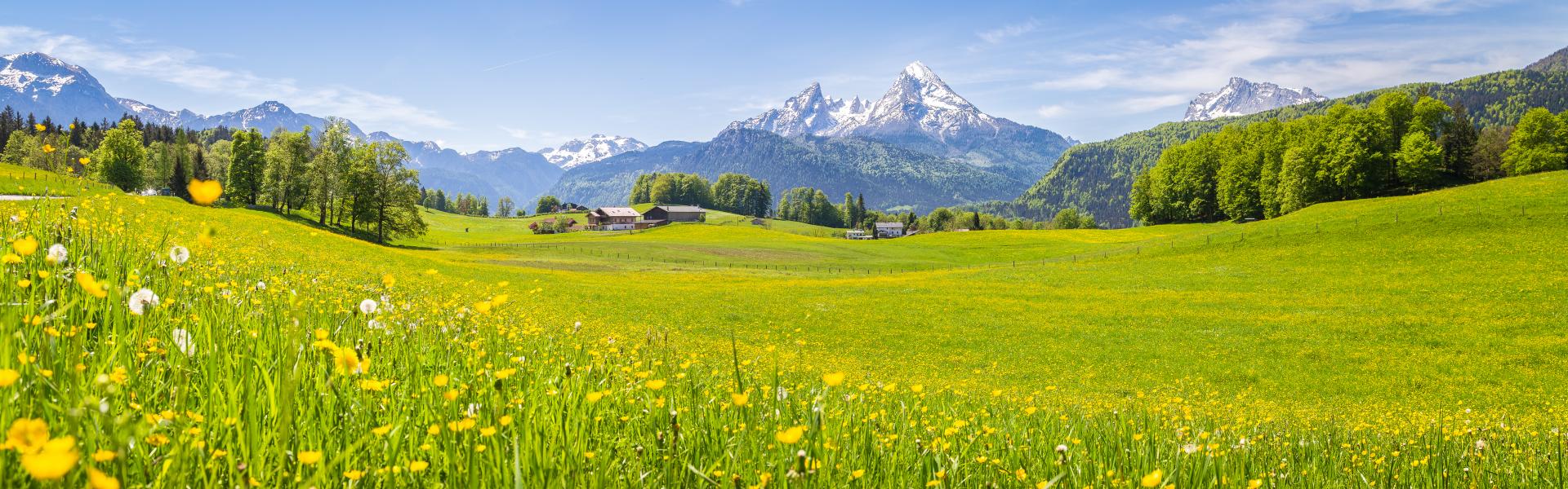Appartamenti vacanze in Alta Baviera - Deliziatevi di birra - Casamundo