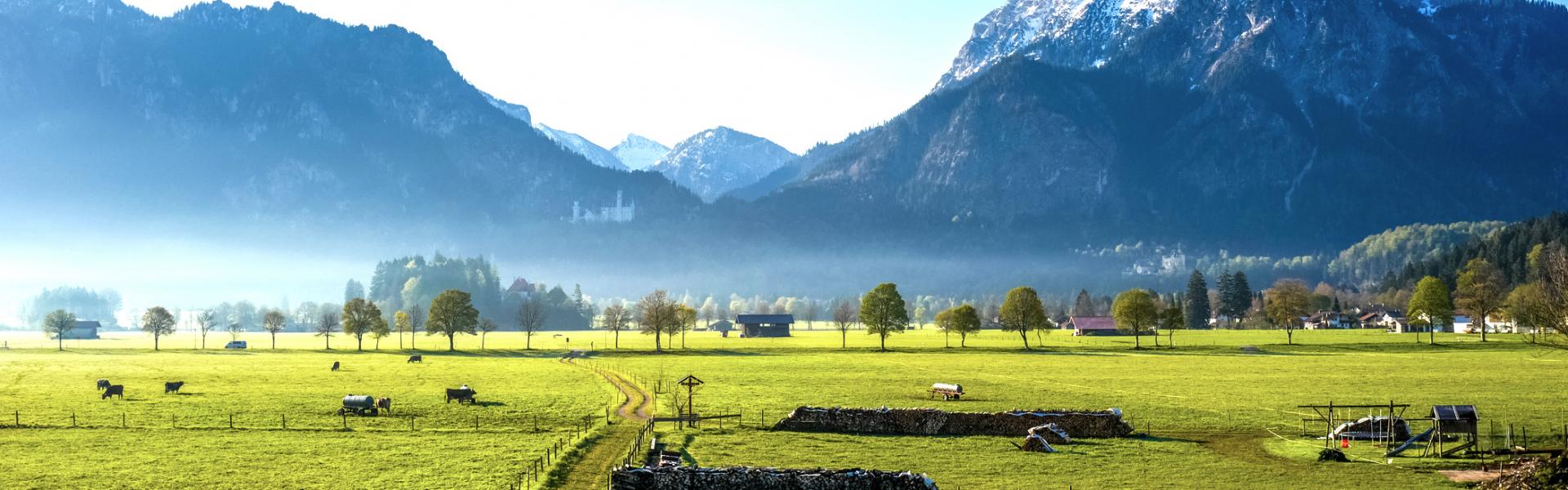 Ferienwohnungen und Ferienhäuser Ostschweiz - HomeToGo