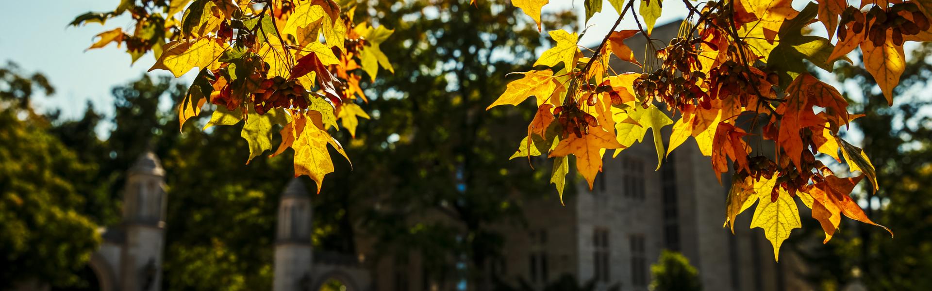 House Rentals in Bloomington - HomeToGo