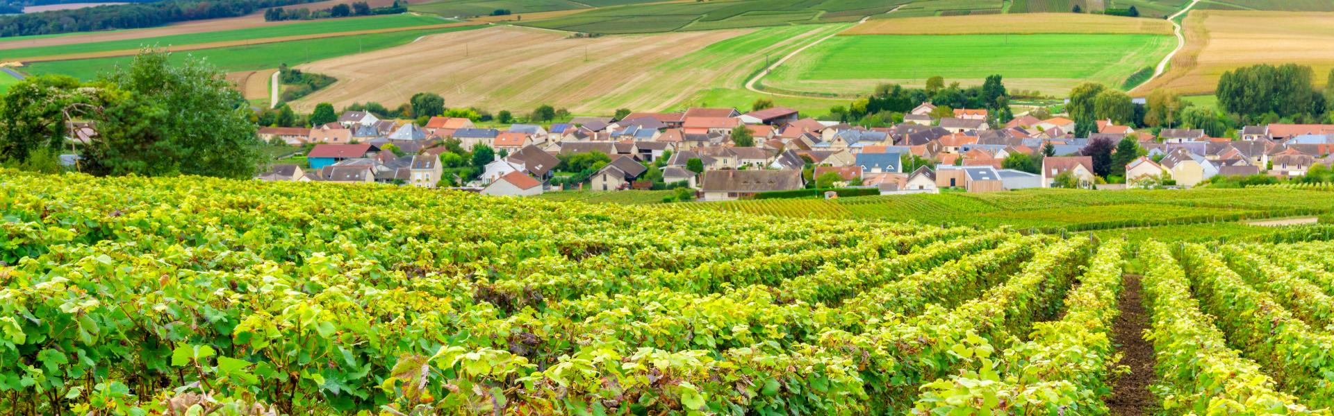 Vakantiehuizen en appartementen Reims - HomeToGo
