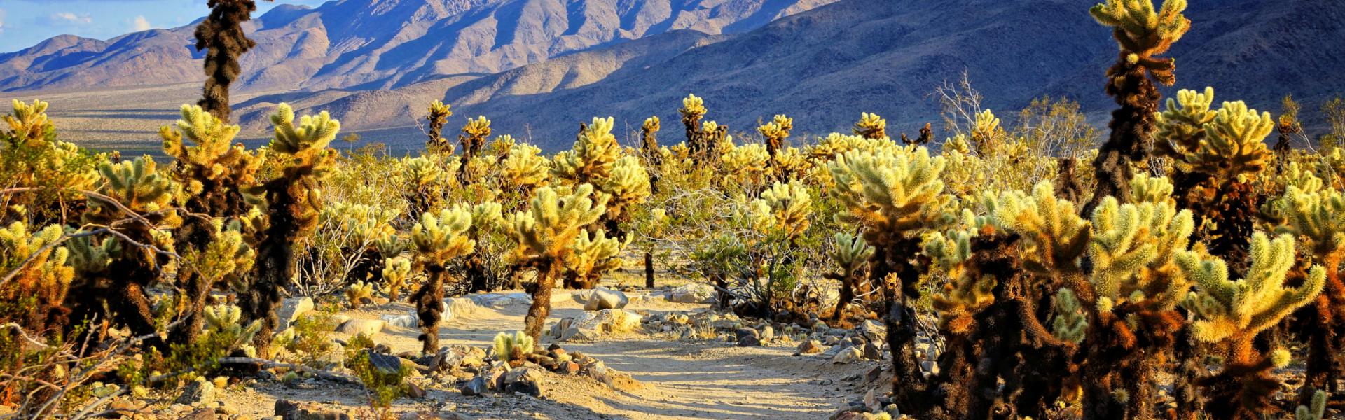 Desert Hot Springs Vacation Rentals - HomeToGo