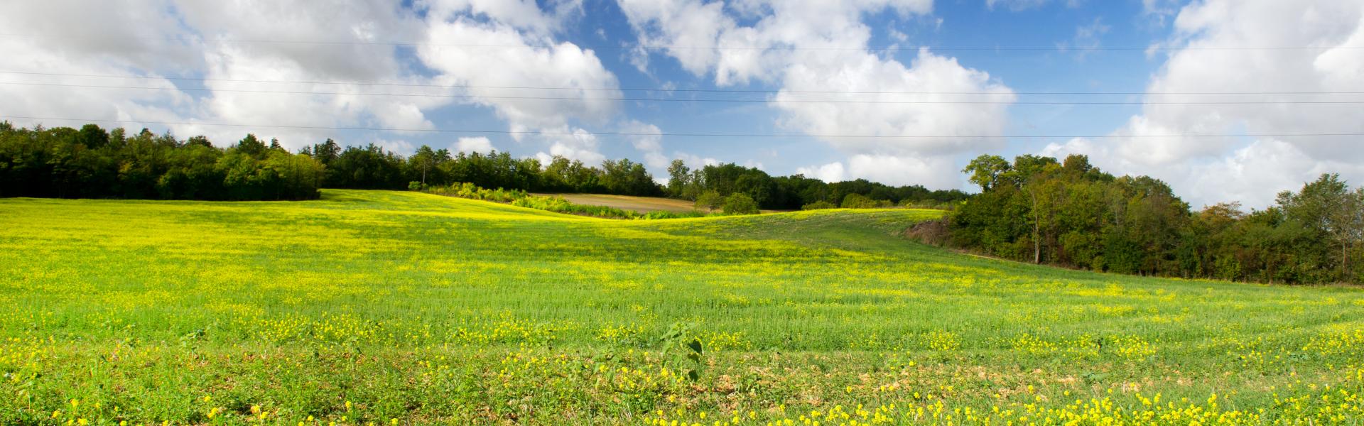 Vakantiehuizen en appartementen in Aubeterre-sur-Dronne - HomeToGo