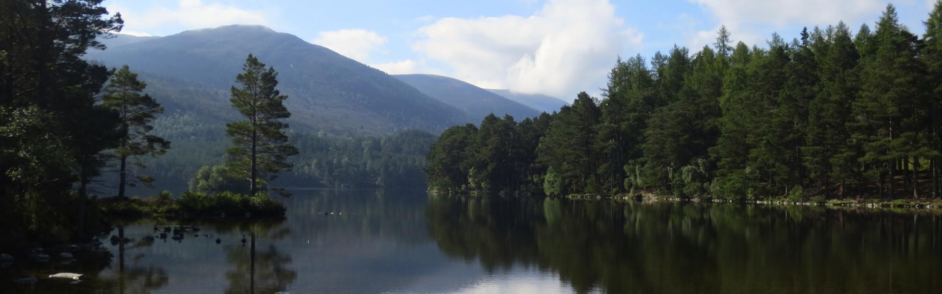 Aviemore Vacation Rentals - HomeToGo