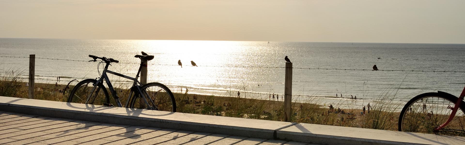 Ferienwohnungen und Ferienhäuser in Bloemendaal aan Zee - HomeToGo