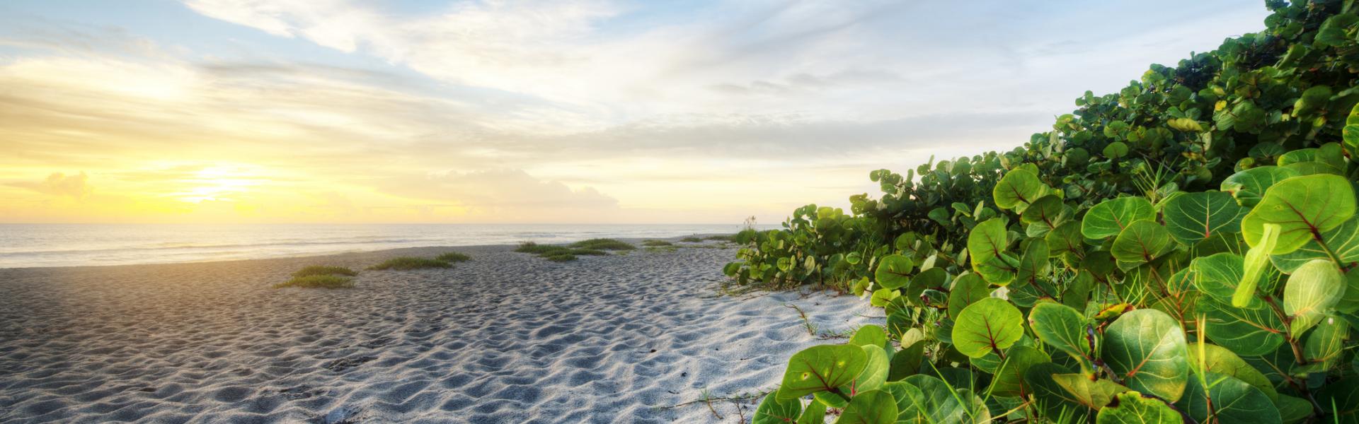 Vakantiehuizen en appartementen Melbourne Beach South - HomeToGo
