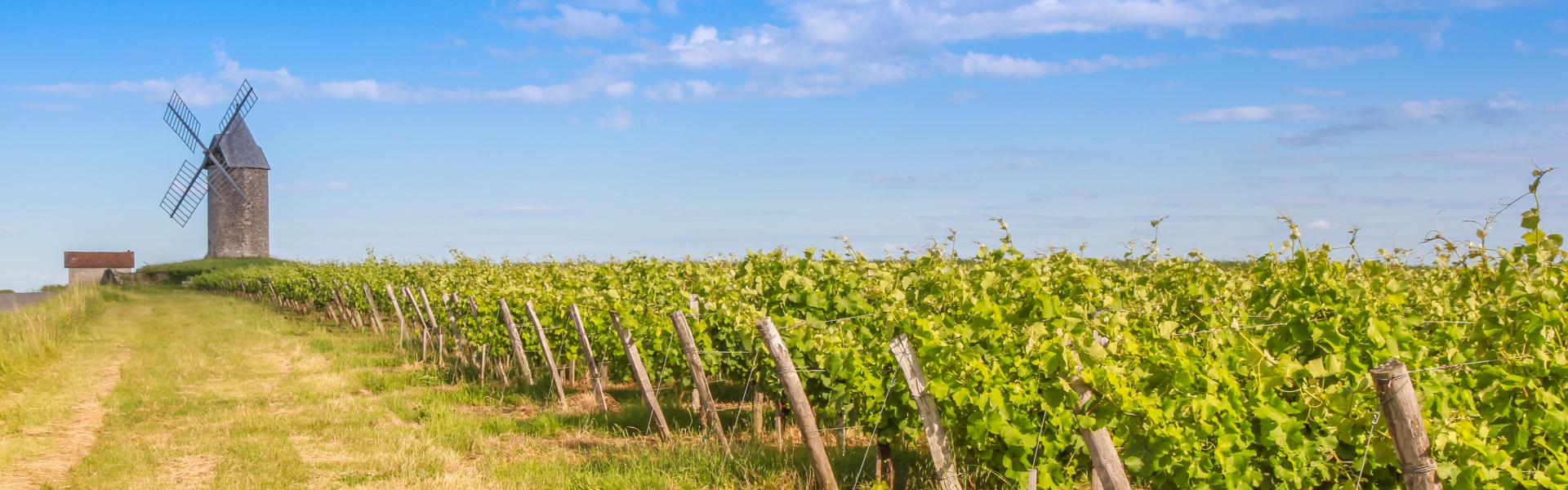 Aquitaine Ferieboliger - HomeToGo