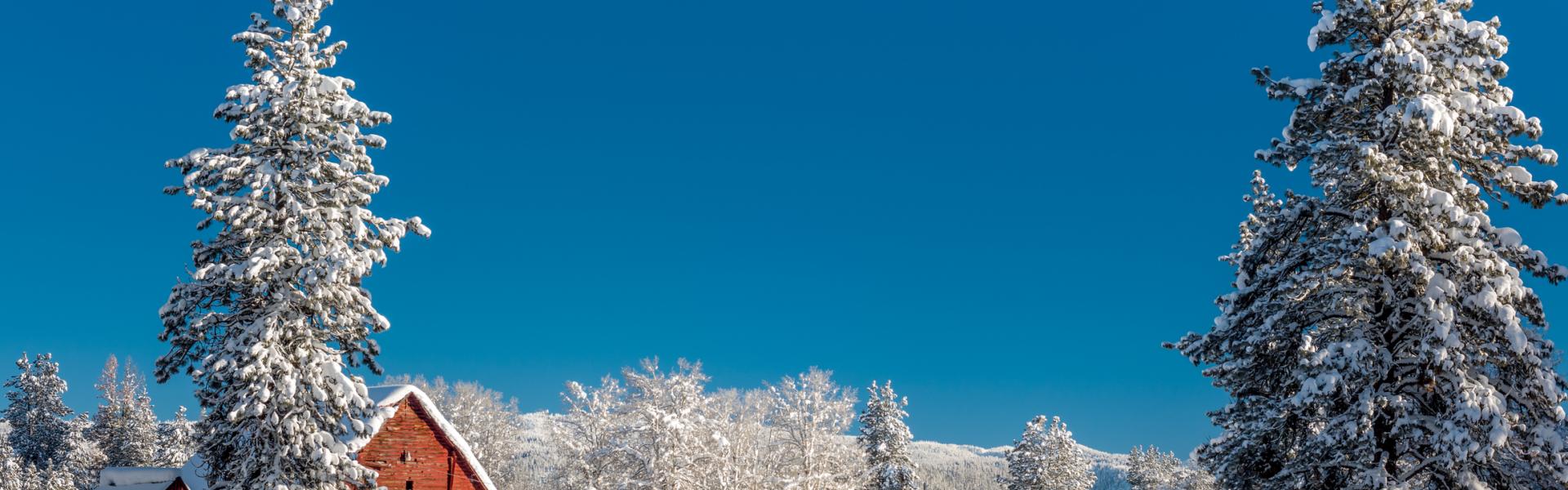 McCall Vacation Rentals - HomeToGo