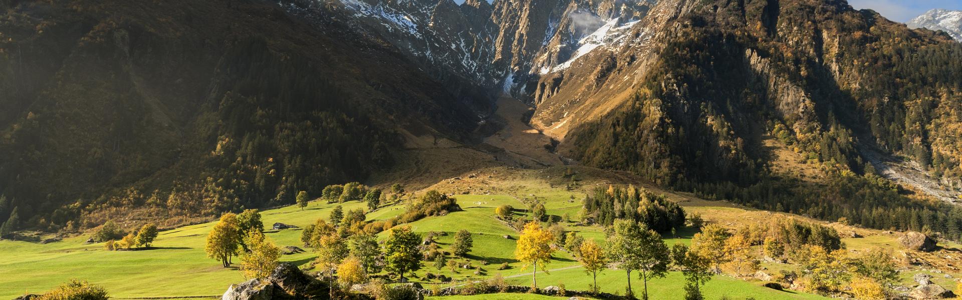 Ferienwohnungen und Ferienhäuser in Axalp - HomeToGo