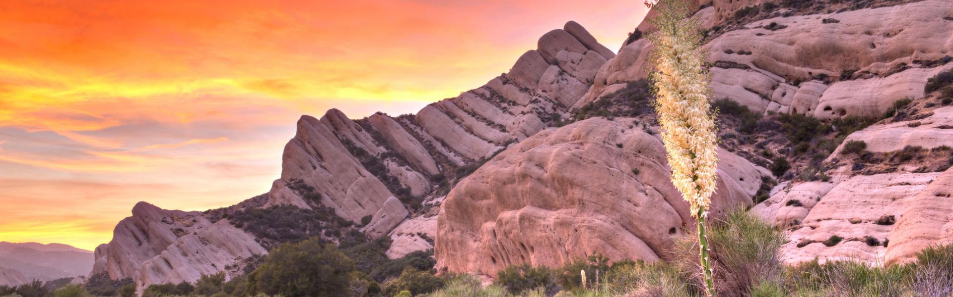Cabins in Wrightwood - HomeToGo