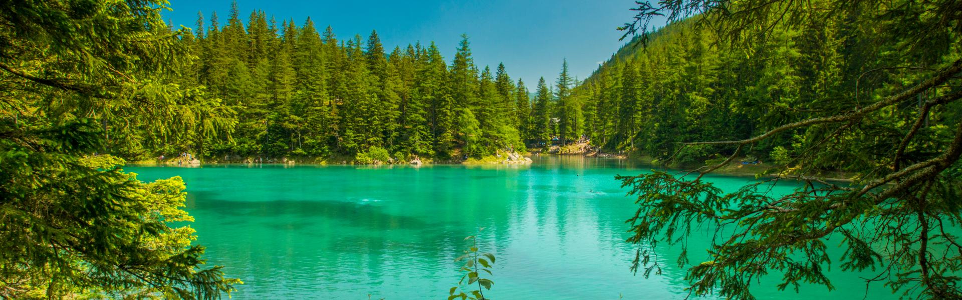 Ferienwohnungen und Ferienhäuser in Wildalpen - HomeToGo