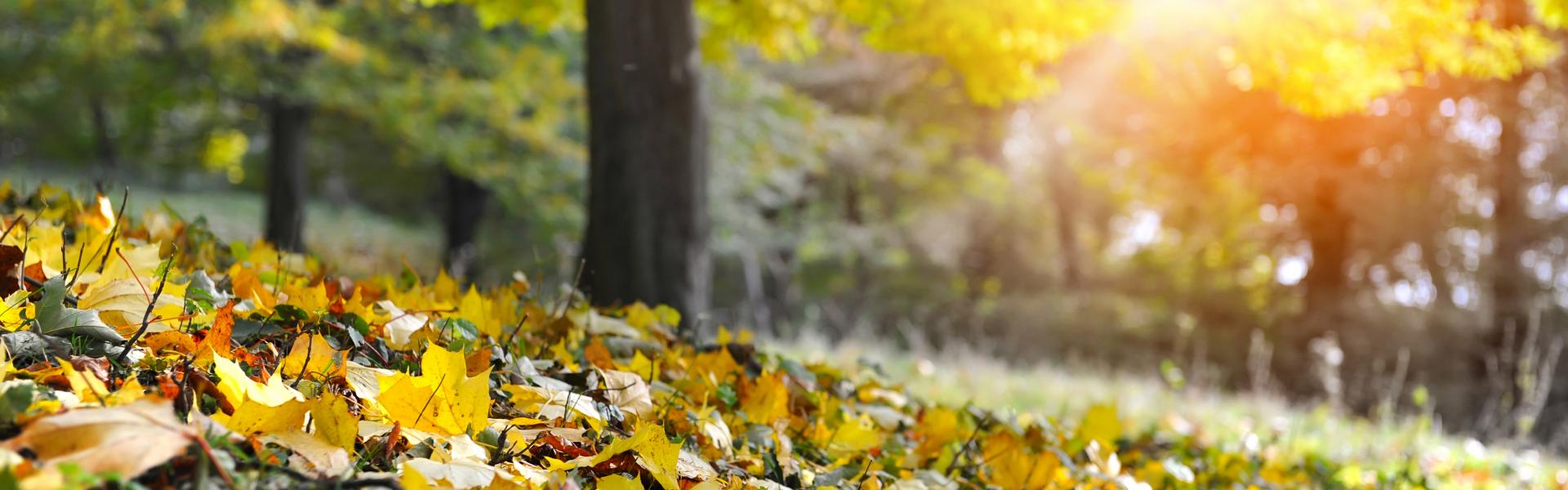 Zonvakantie in september - HomeToGo