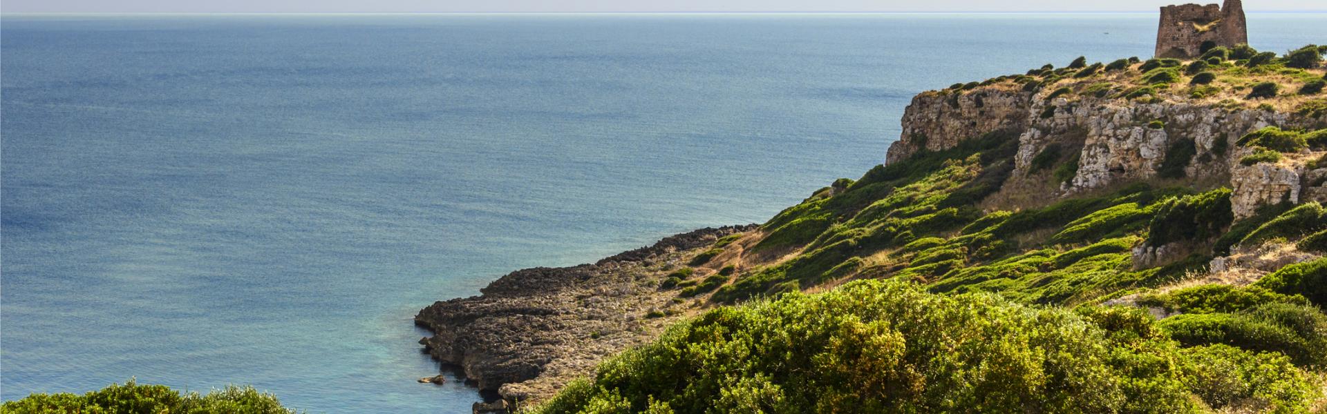 Alojamientos y apartamentos vacacionales en Salento - HomeToGo