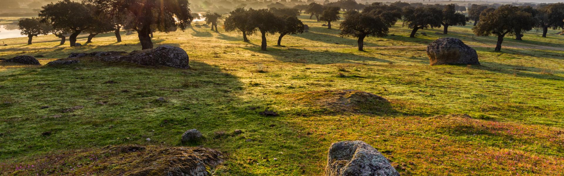 Alojamientos y apartamentos vacacionales en Valverde del Fresno - HomeToGo