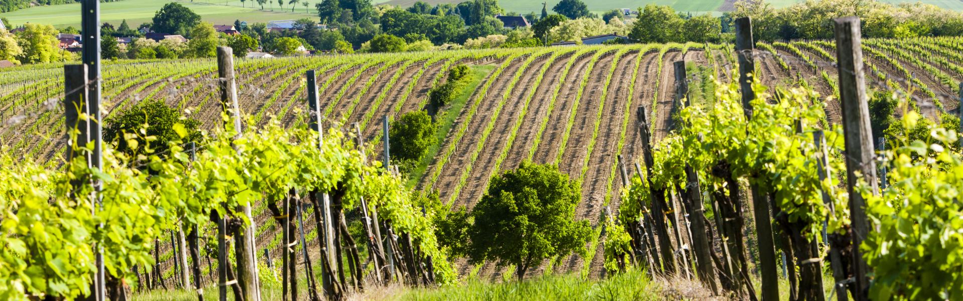 Ferienwohnungen und Ferienhäuser in Amstetten - HomeToGo