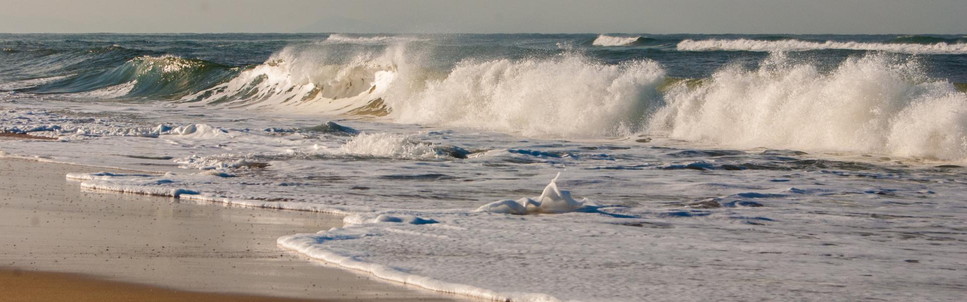 Ferienwohnungen und Ferienhäuser in Hossegor - HomeToGo