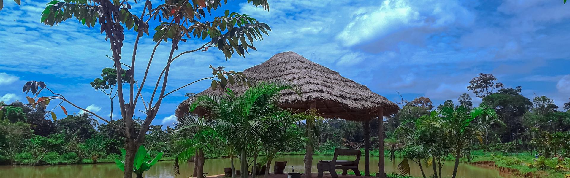 Locations de vacances et appartements à Yaoundé - HomeToGo