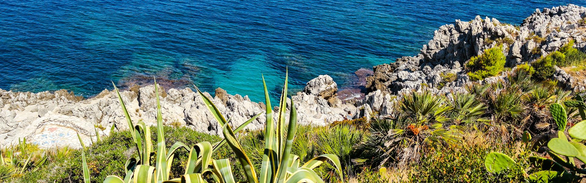 Ippocampo Natural View