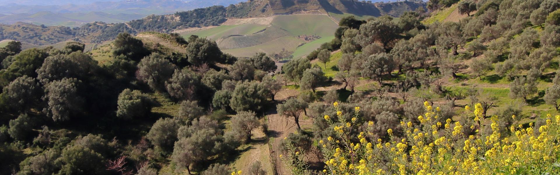 Strongoli Scenic View